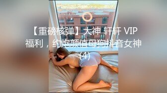 【重磅核弹】大神 轩轩 VIP福利，约炮颜值母狗抖音女神 (4)