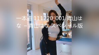 一本道 111220_001 青山はな ～青山はな スペシャル版～