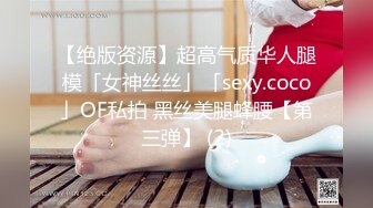 【绝版资源】超高气质华人腿模「女神丝丝」「sexy.coco」OF私拍 黑丝美腿蜂腰【第三弹】 (2)