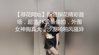 【寻花阿灿】新晋探花精彩首场，超清4K设备偷拍，外围女神胸真大，沙发啪啪风骚异常