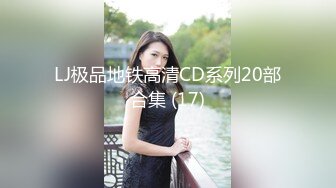 LJ极品地铁高清CD系列20部合集 (17)