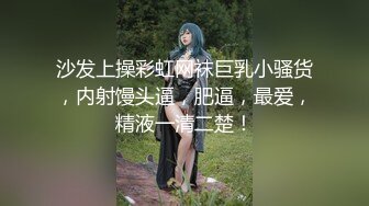 沙发上操彩虹网袜巨乳小骚货，内射馒头逼，肥逼，最爱，精液一清二楚！