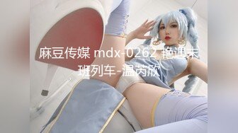 麻豆传媒 mdx-0262 艳遇末班列车-温芮欣